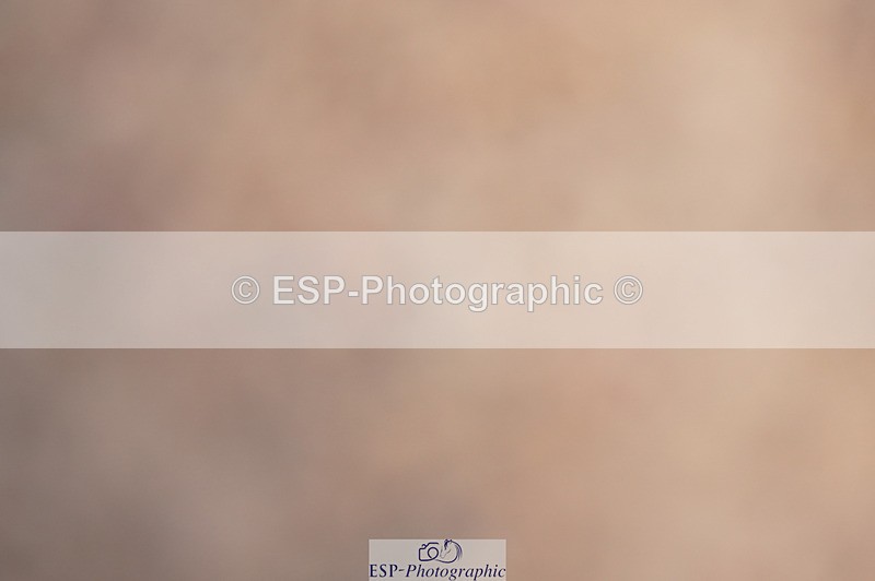 240418A-131759-03174 - Cls 37, Amateur 1.05m