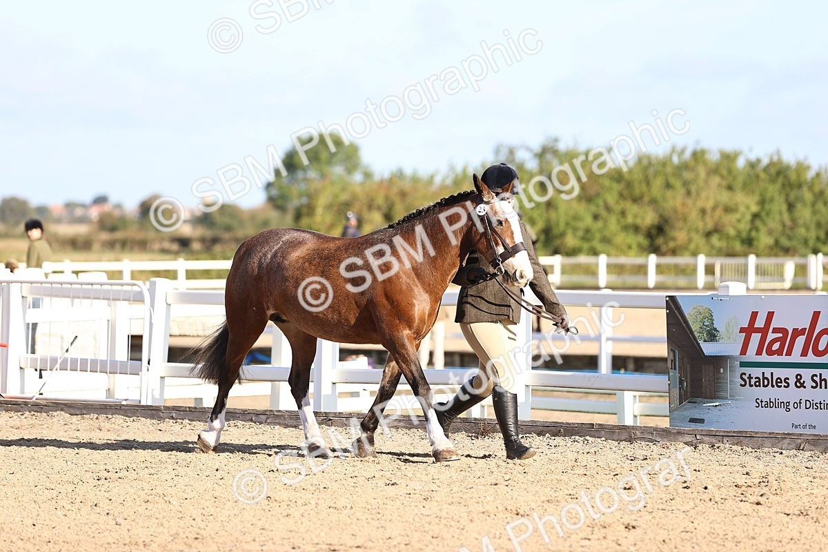SBM_08409 - Class 402 - IH Veteran Pony