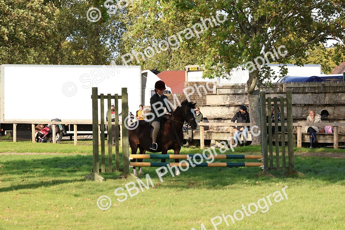 SBM_52541 - S13 - Pony Club Pony