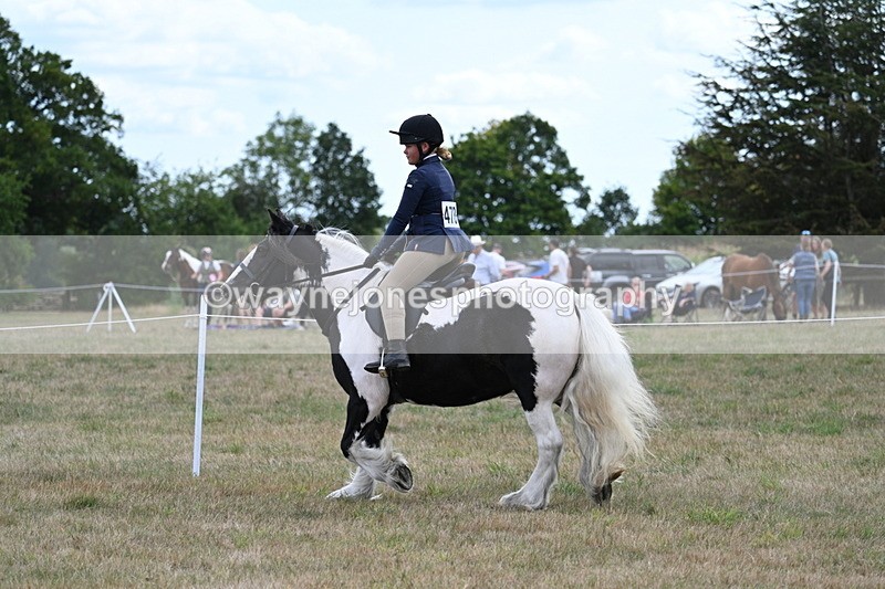 WJ7_5016 - Class 12 Ridden Cob