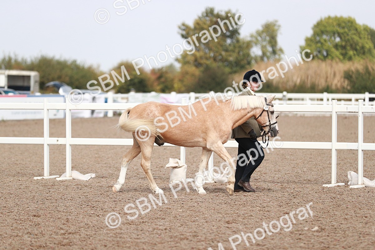 SBM_13814 - Class 209 IH Veteran Pony