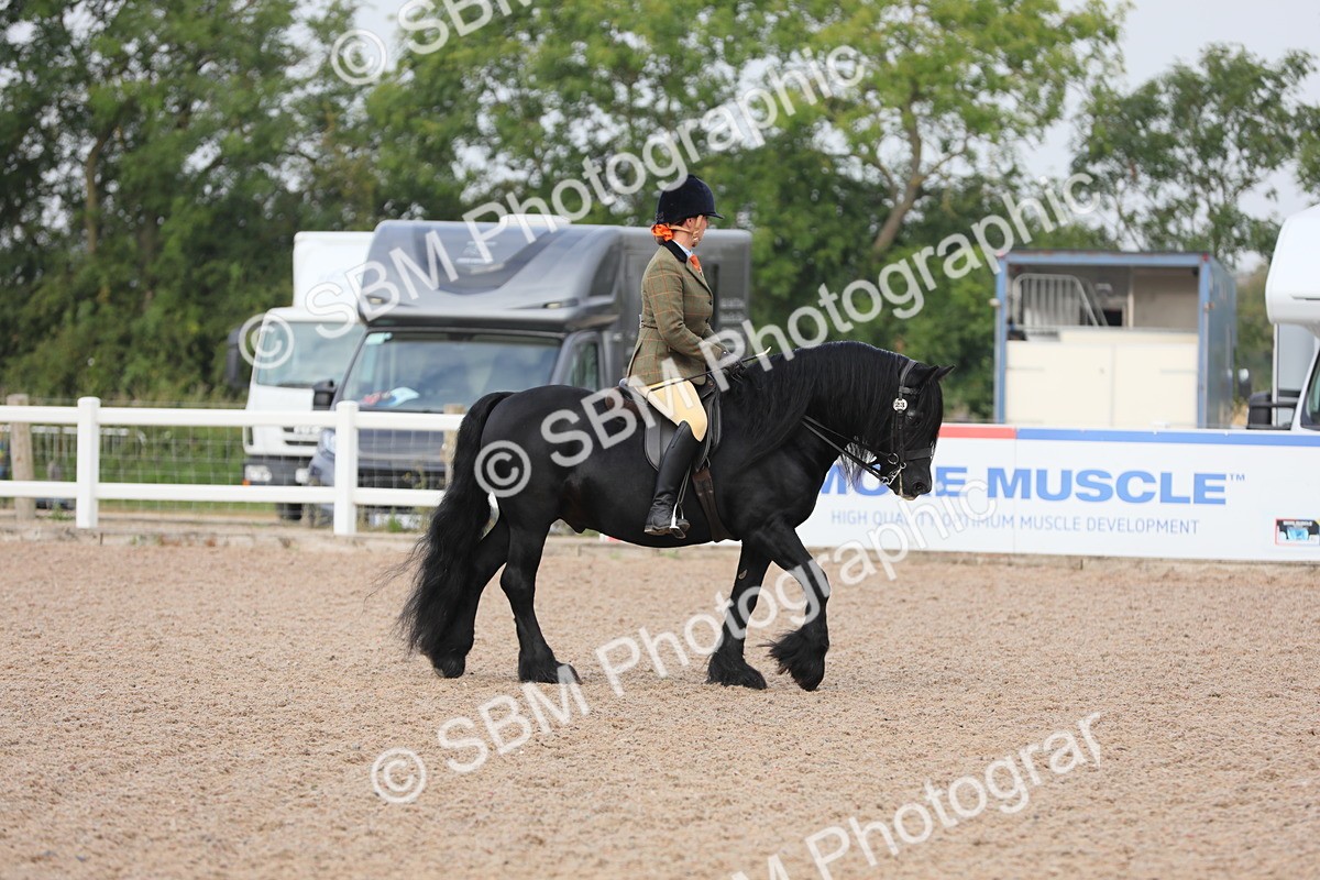 SBM_09973 - Class 302 Ridden M&M -Large Breeds