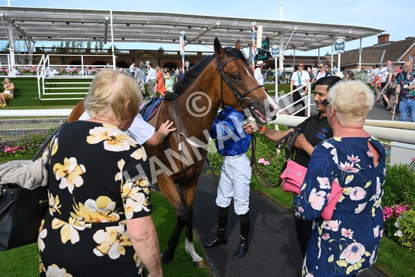 yr08072022r7-29 - Race 7 5.30pm Jigsaw Sports Branding Handicap