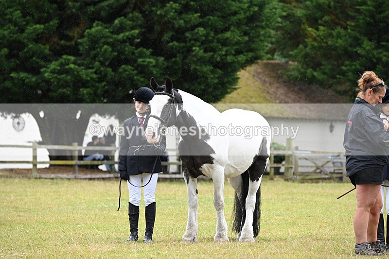 WJ6_8854 - Class 10 Coloured in-hand