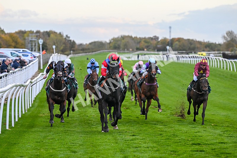 281025-Race 7-Crocodile Power-2103 - Race 7