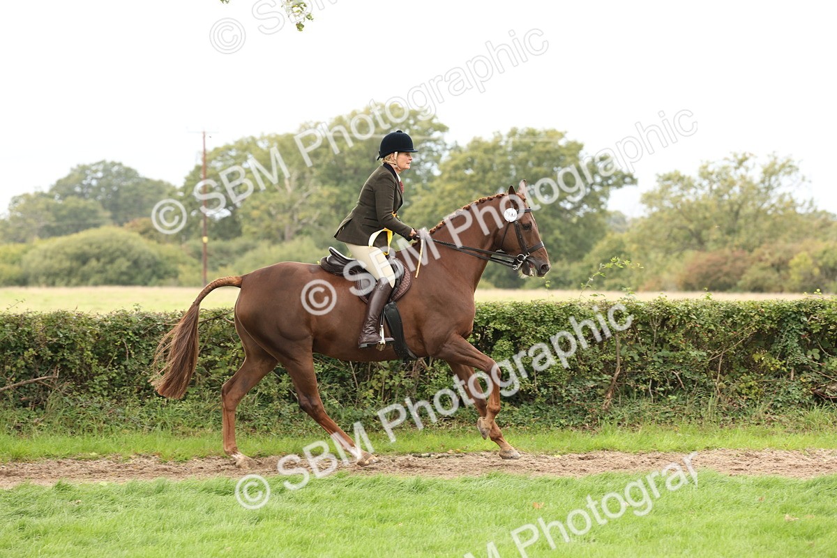 SBM_66420 - S66 - Hunter Ridden