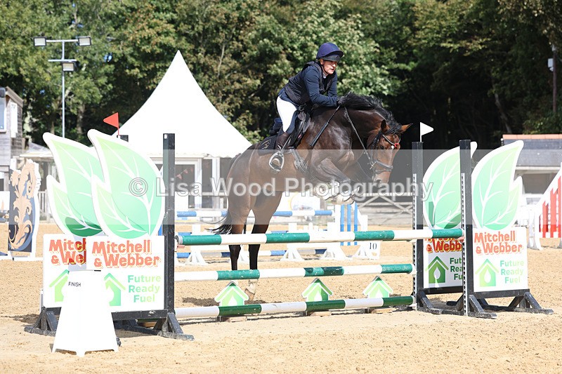 3E7A9162 - Class 9: Senior British Novice/90cm open