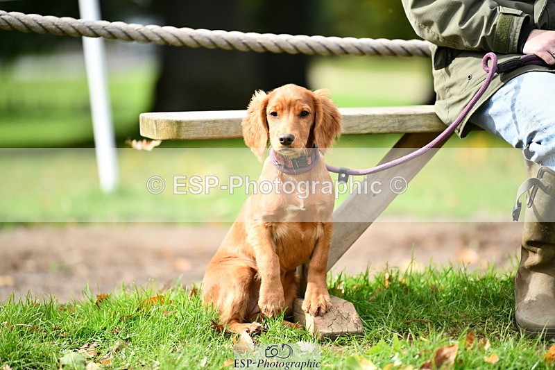 251004A-140006-01529 - Classes 8 & 9 70cm