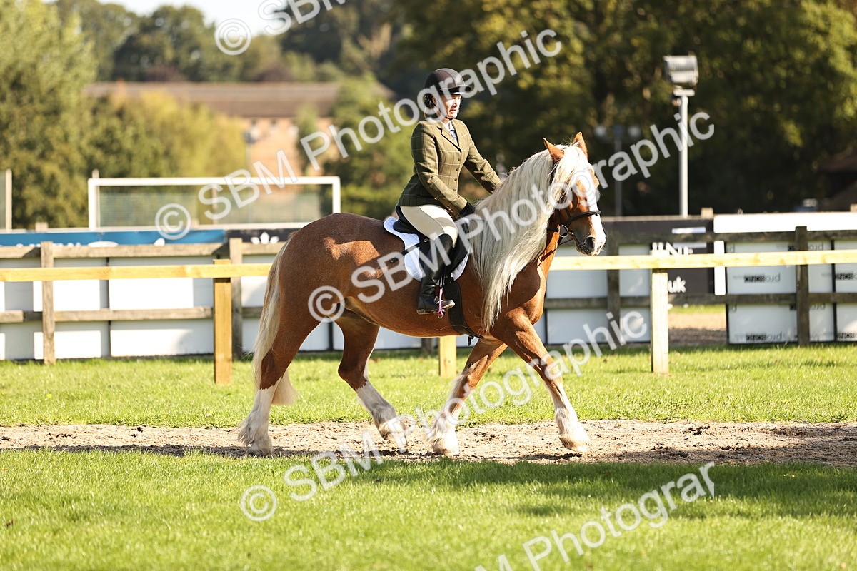 SBM_16954 - S2 - TSR Ridden Pony Showing