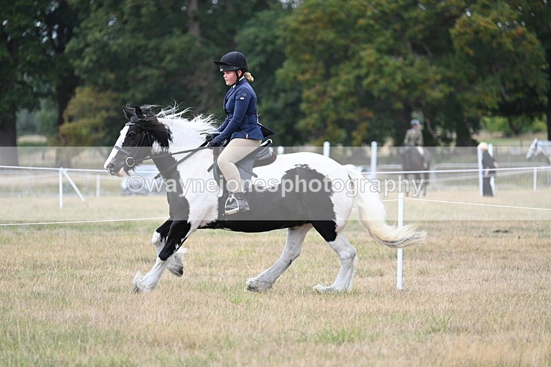 WJ7_5117 - Class 12 Ridden Cob