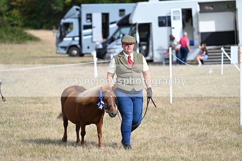 WJ7_8008 - In-hand Championship