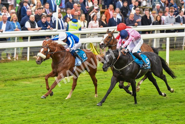 190523-Race 3-Marhaba The Champ-0643 - Race 3 3.00pm Knights Solicitors Handicap