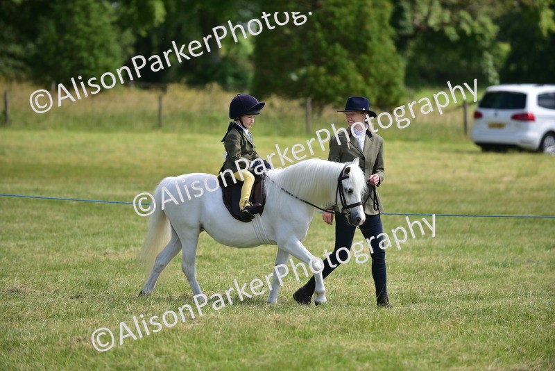 20260614-1117 - Class 11a - Lead Rein Pony (Unplaited)