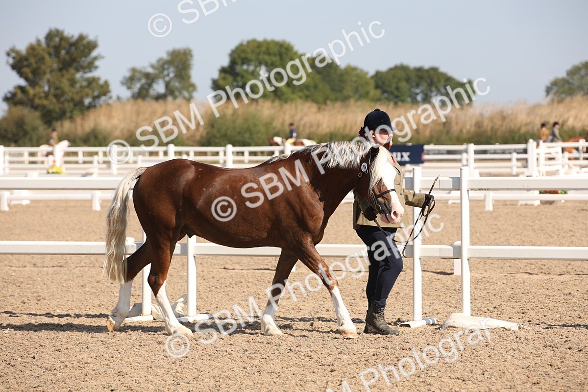 SBM_02652 - Class 16 IH M&M Wildcard