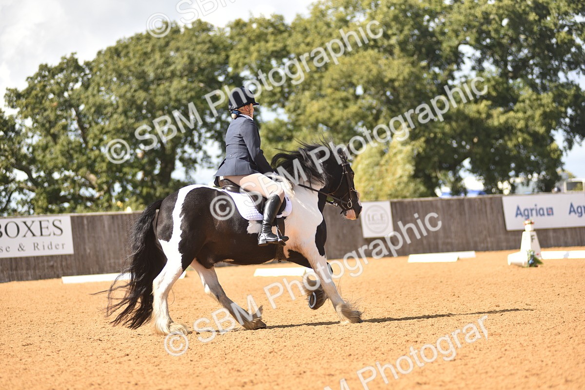 SBM_22499 - D13 - Grand Tour Championship Prelim 3