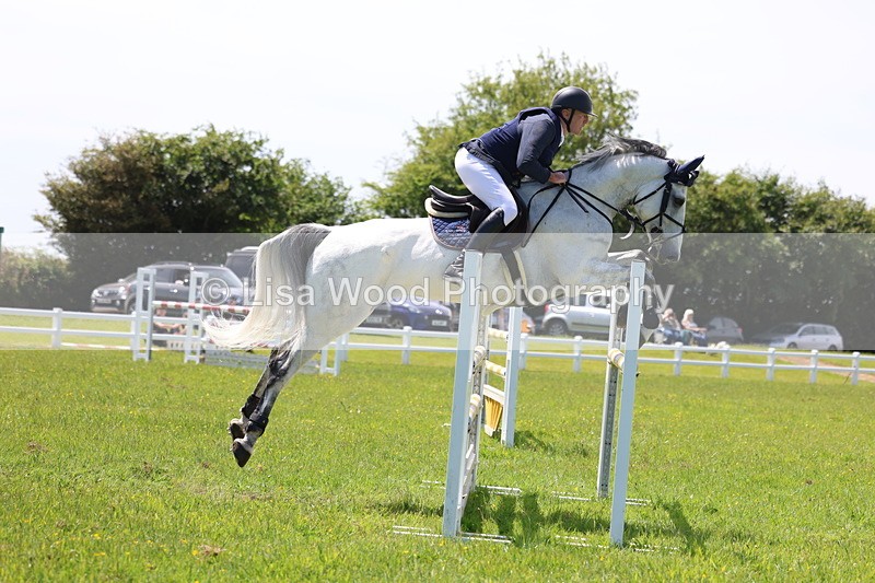 3E7A1286 - Class 12: Senior Foxhunter/1.20 open