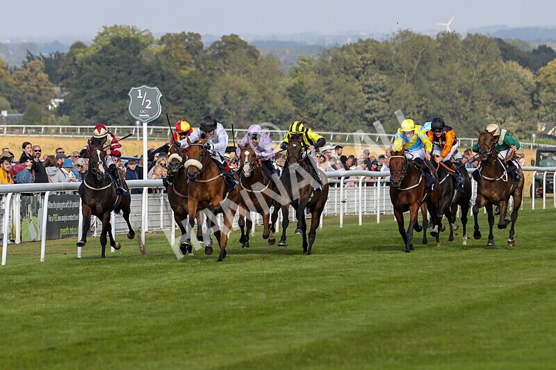 310824-Race 7-Zapphire-2128 - Race 7