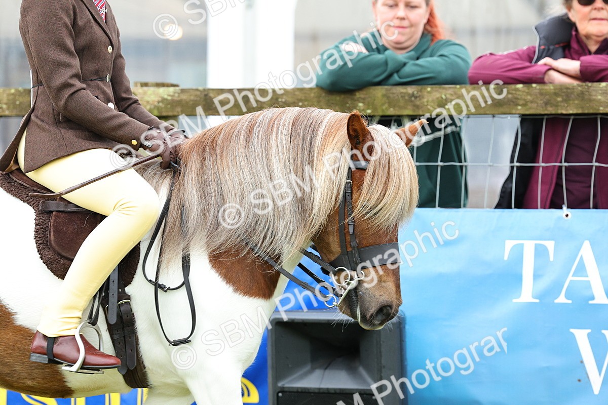 SBM_01097 - Class 1-4 - BSPA Ridden