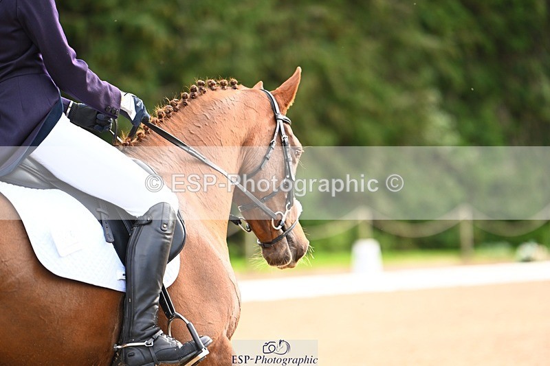 231021-134344-18533 - 246-NEDS.LEGACY-Araminta.Spencer-Churchill-DR