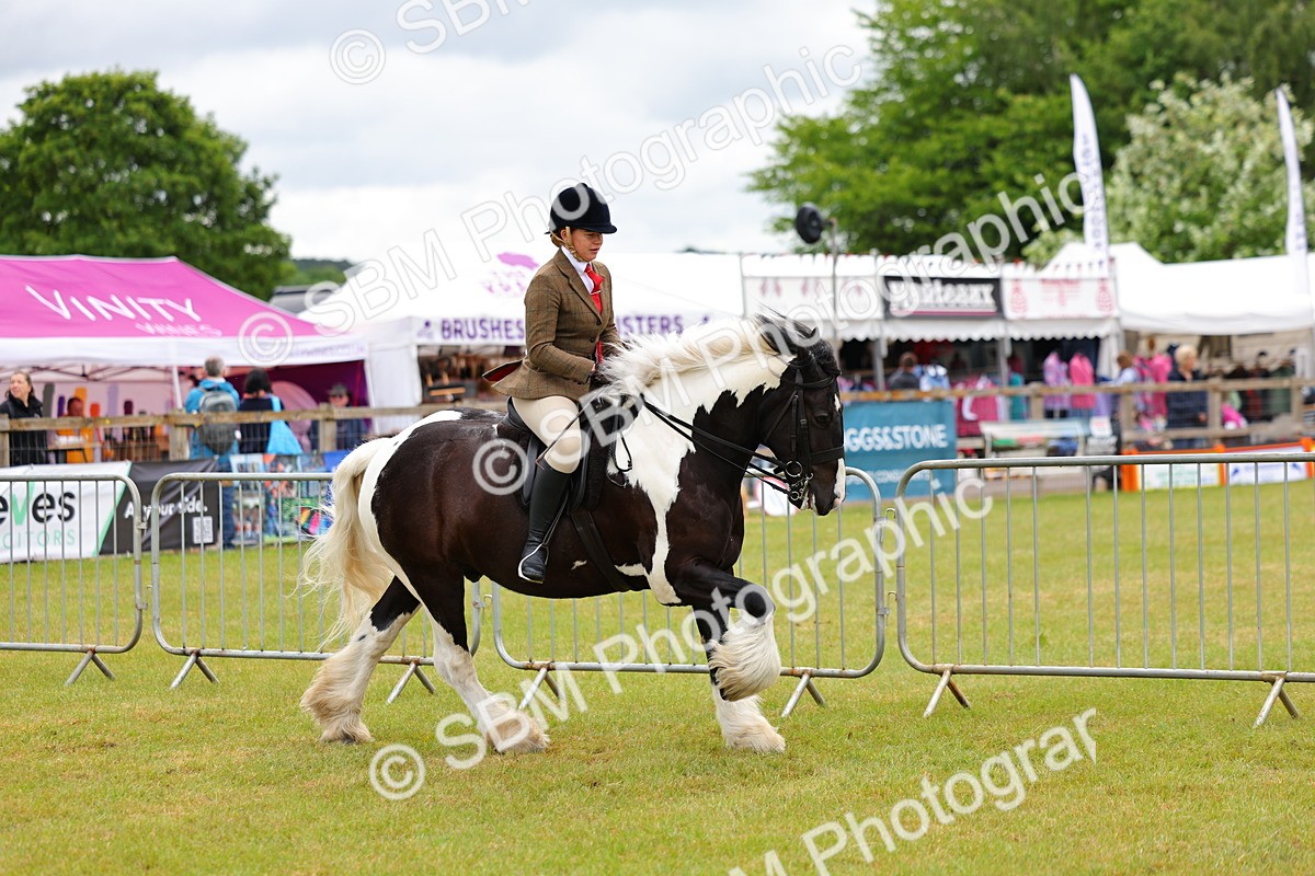 SBM_02621 - Class 9-11 Side Saddle including LIHS Rising Star Ladies Show Horse