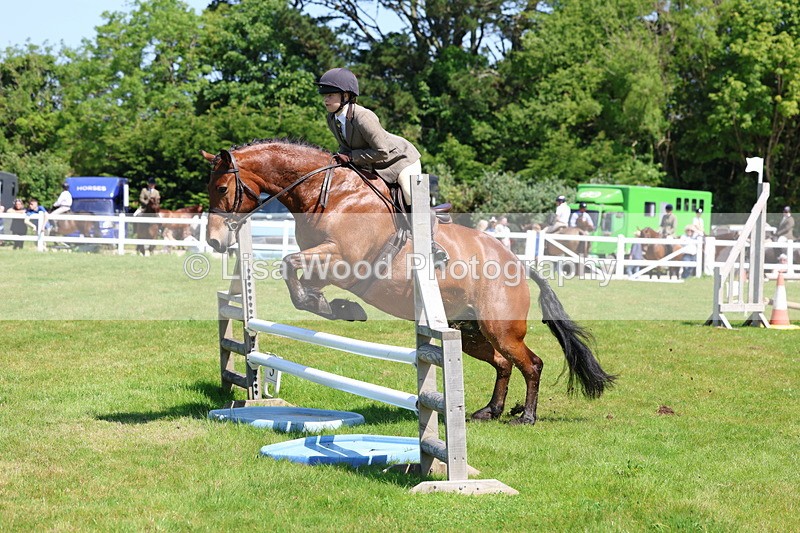 3E7A6959 - Class 30: Novice Working Hunter