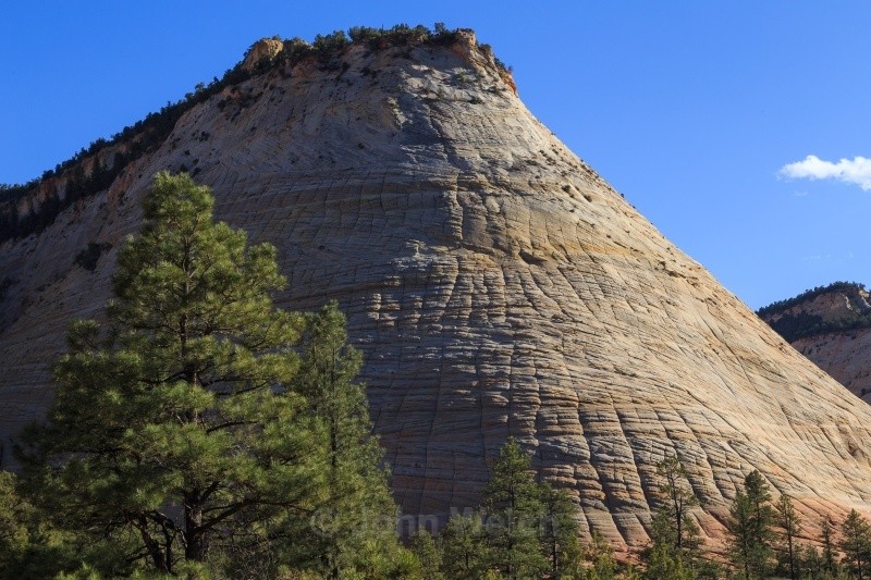 Checkerboard Mesa - Utah