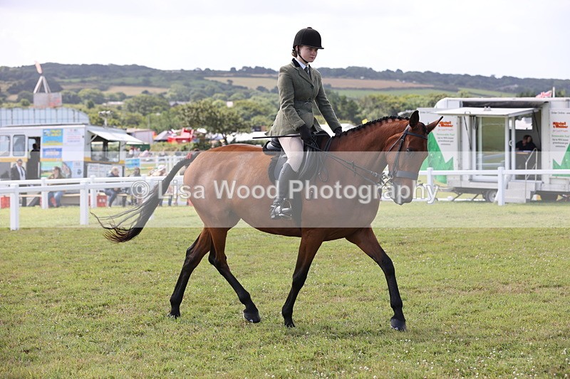 JPP_1339 - Class 17: Cornish Combination Open