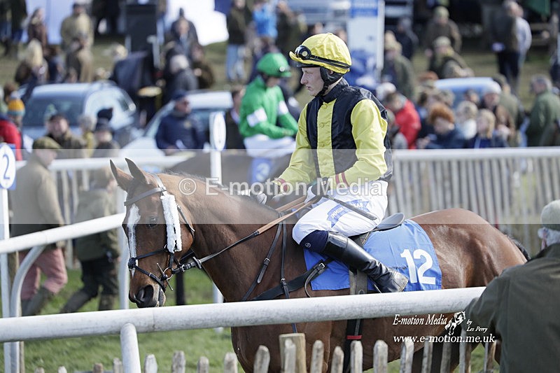 PtP 100423 701 - Old Berkshire Point-to-Point Lockinge 10/04/23
