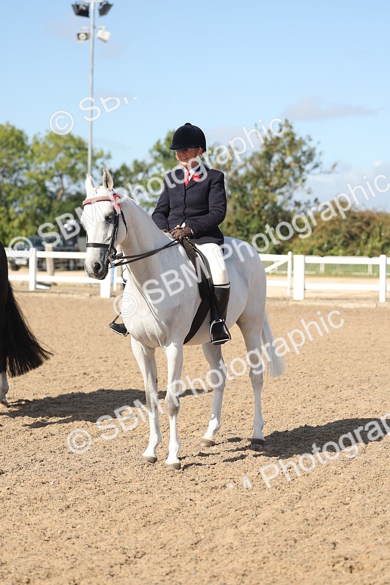 SBM_22681 - Class 805 - Ridden Veteran Horse