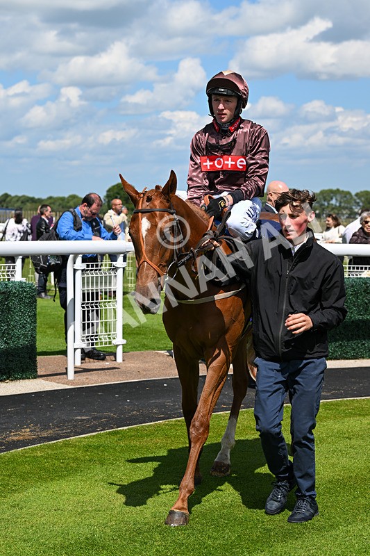 080624-Race 2-Perfect Part-0756 - Race 2