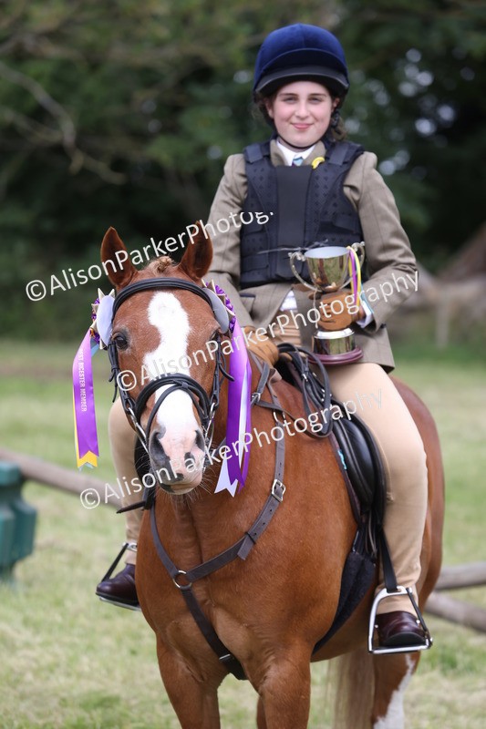 20260614-2174 - Class 21 - Novice Working Hunter Pony