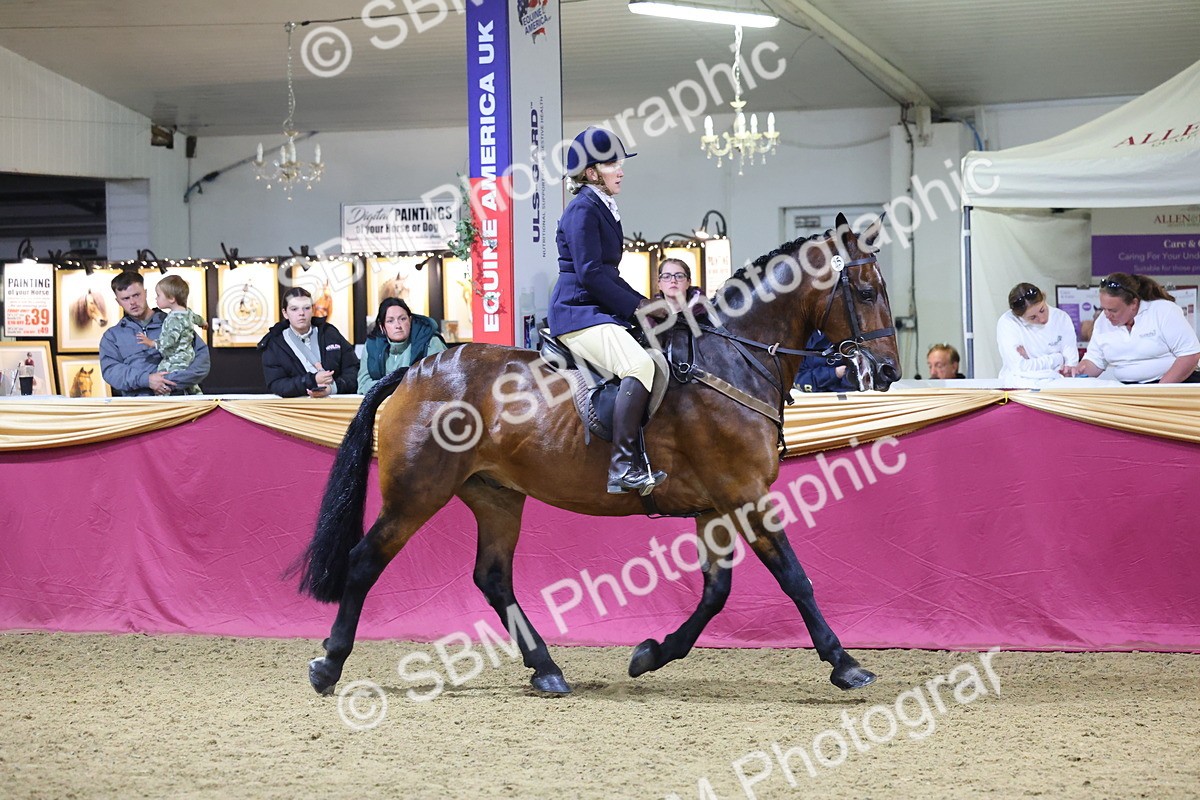 0B8A4683 - Class R Working Veteran Champ