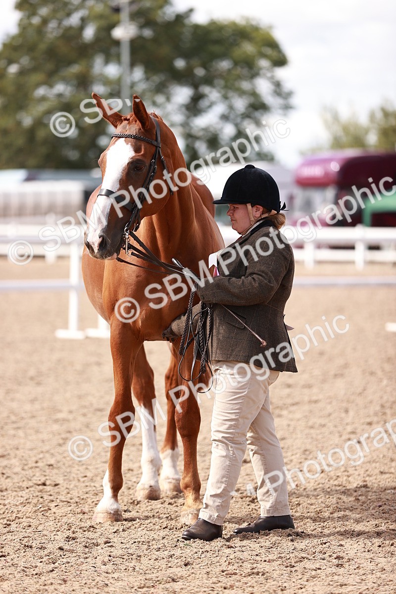SBM_13368 - class 406 - IH Hunter