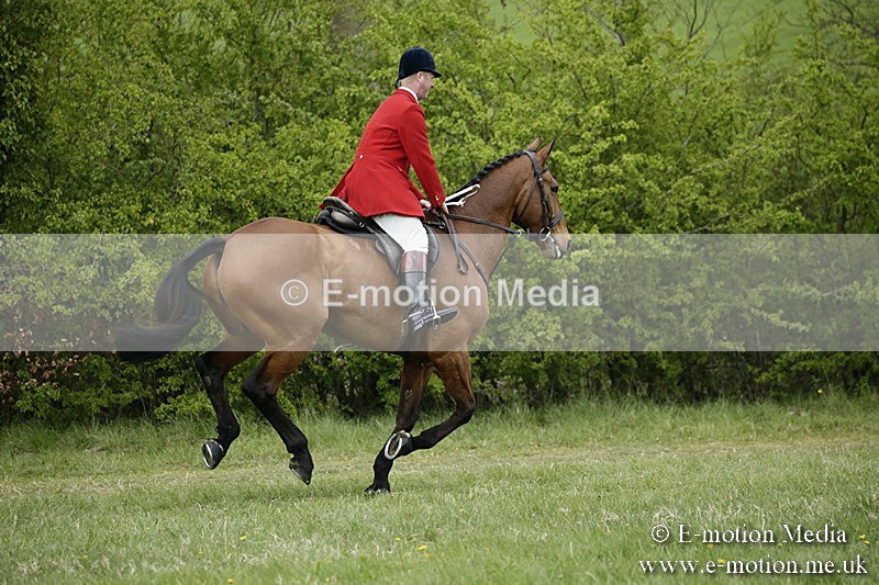 PtP 170417 546 - Old Berks Point-to-Point Lockinge 17/04/17