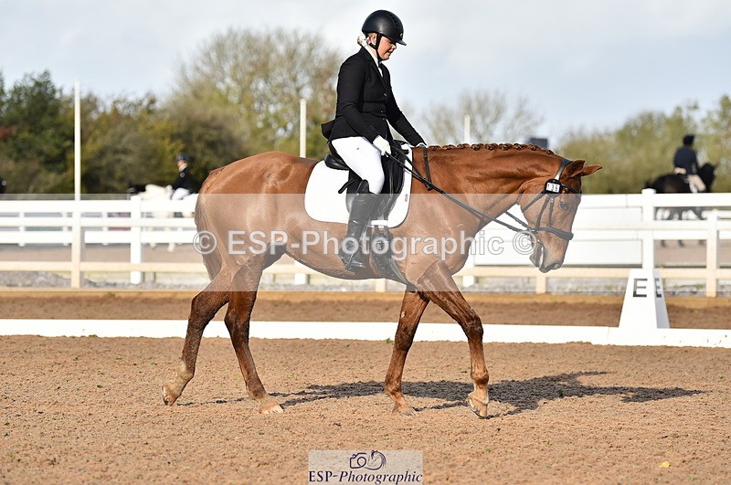 231104A-120612-01679 - Cls 5 Novice 37A