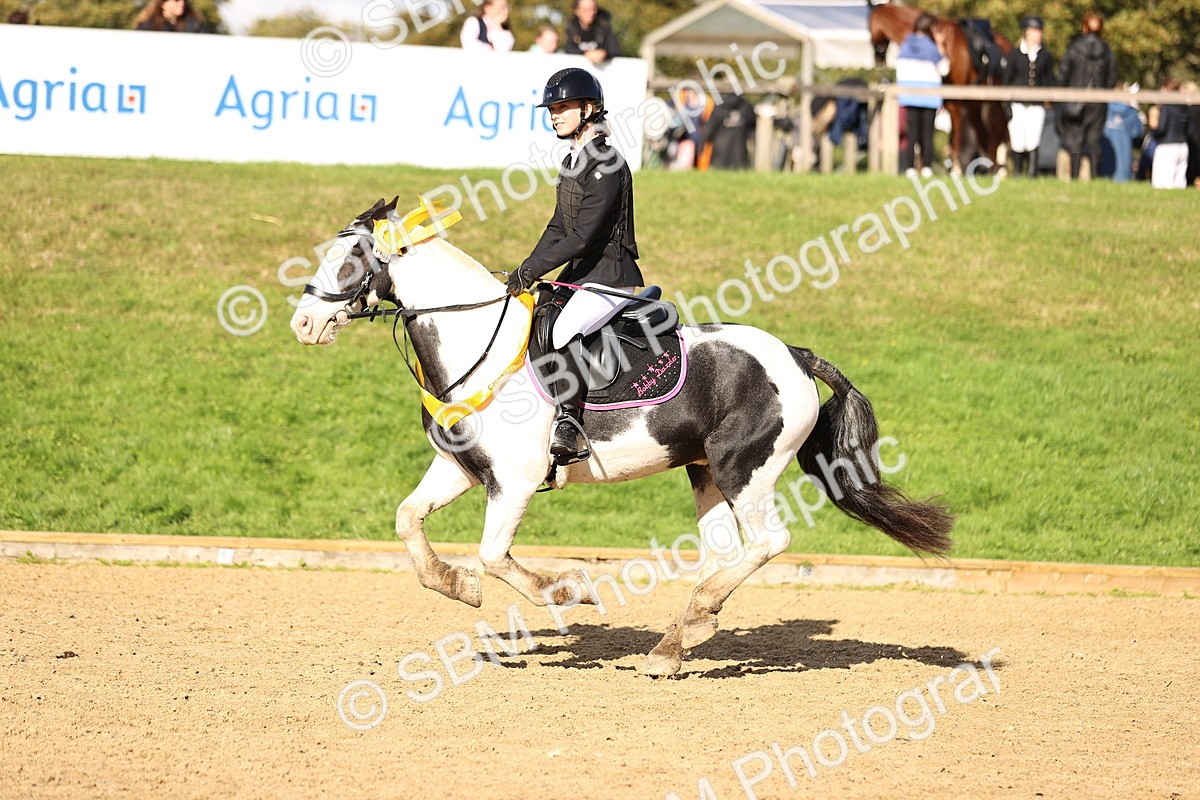 SBM_48296 - J9 - Junior Pony 70cm Championship