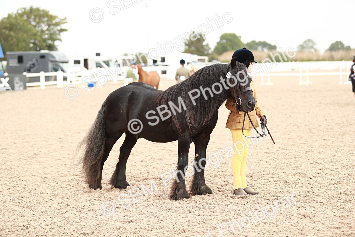 SBM_12495 - Class 207 IH M&M