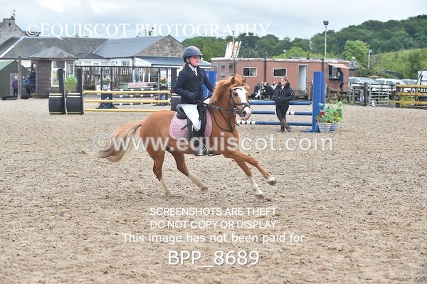 BPP_8689 - CLASS 5 Springboard 128cm/ 138cm Restricted Handicap