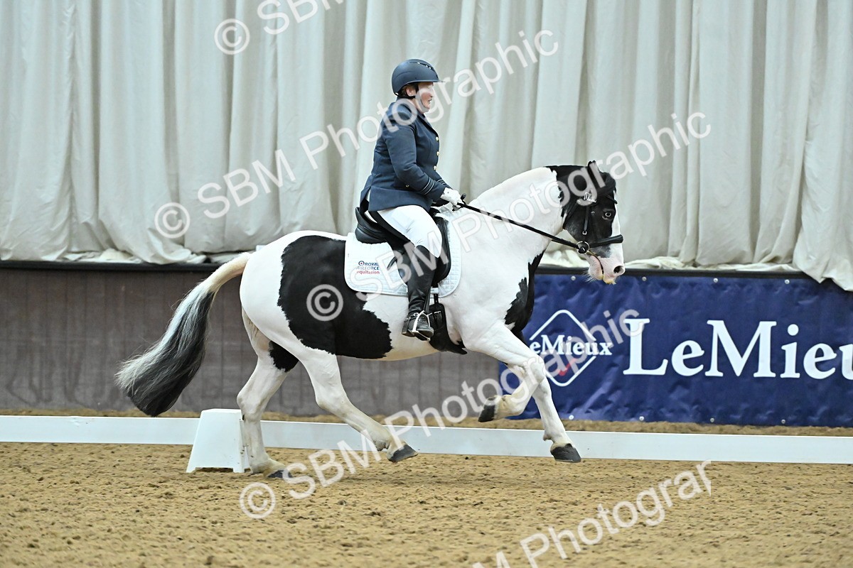 SBM_007403 - Class 81 - Novice 3