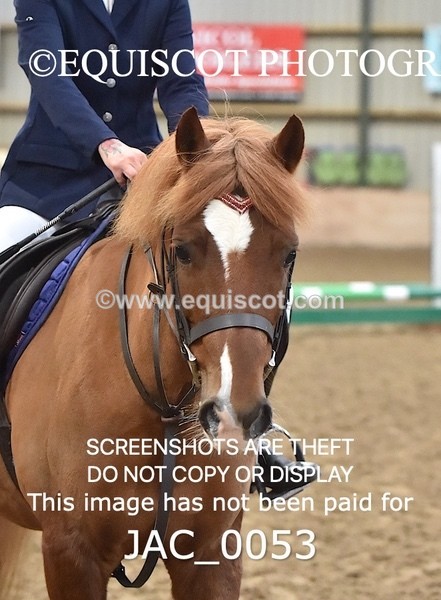 JAC_0053 - CLASS 3 Nursery Jumping - (0.40m) Two Phase