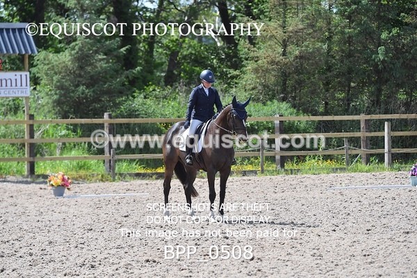 BPP_0508 - MFS NOVICE