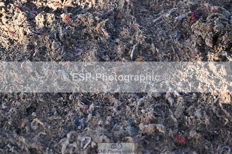 251203-125346-00580 - Cls 4 Newcomers and 1.10m Open