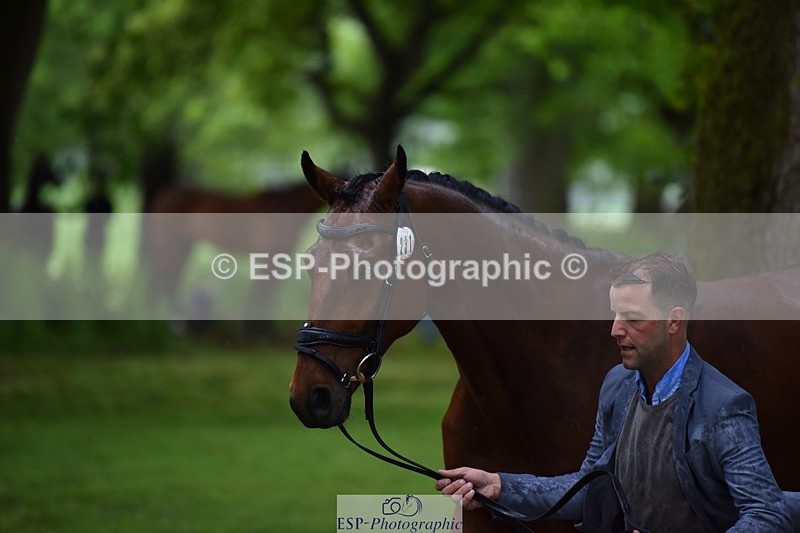 240522-162148-00860 - 231-DHI_ROCK_DANCER-Roberto_Scalisi