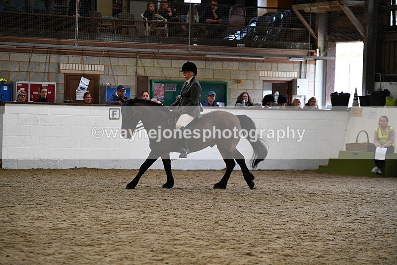 WJ5_6179 - Class 9 Ridden Veteran