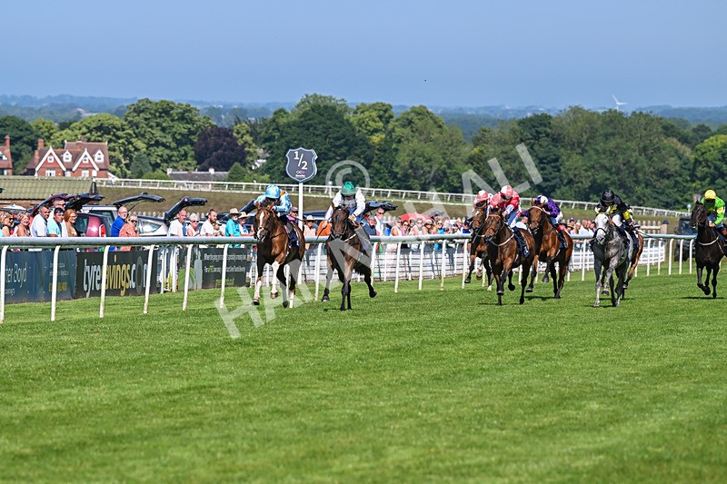 250624-Race 6-Cockalorum-5941 - Race 6