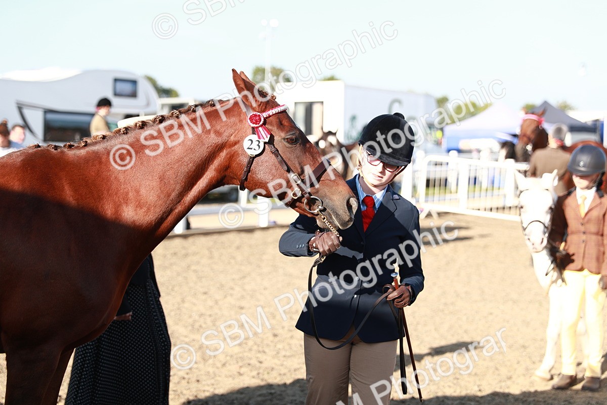 SBM_00050 - Class 40 Best Turned Out IH