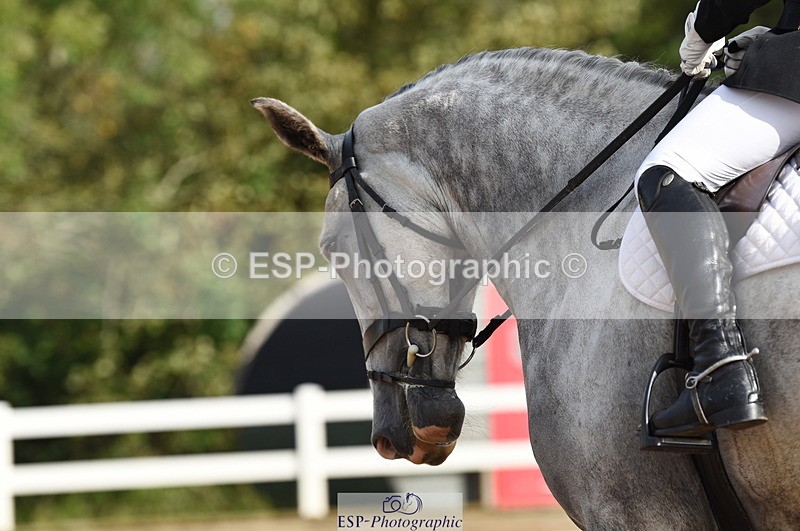 230912A-100734-00249 - Cls 2 Prelim 19