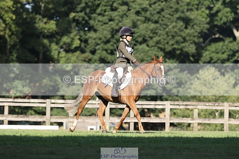 250823A-091919-25922 - Arena D