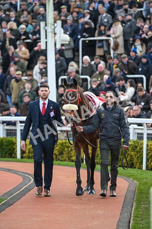 140325-The Real Whacker-WR-4990 - 14th March