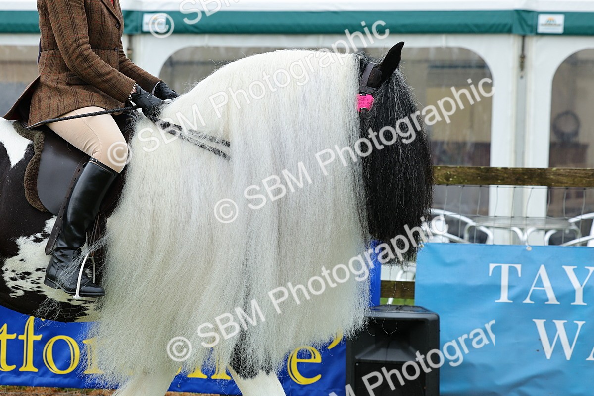 SBM_01083 - Class 1-4 - BSPA Ridden